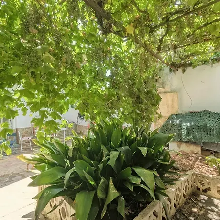 Casa Ti Mielga Ayoo de Vidriales